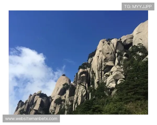 万博网站登陆遇到问题怎么办，常见登录故障解决方案介绍